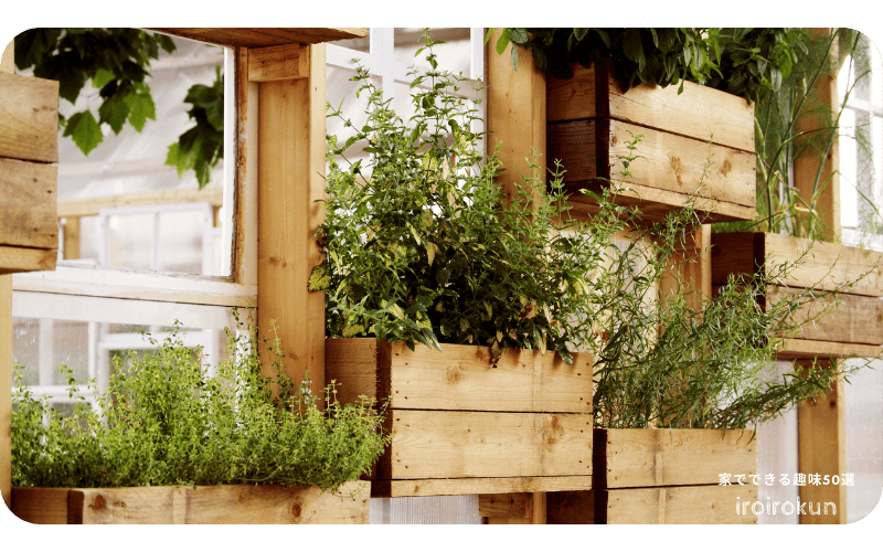 at-home-kitchen-gardening